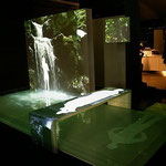 Electronic shadow : H2O, 2004.